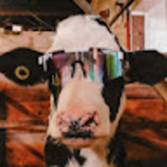 Meet your Posher, Olivia - Picture 1 of 1